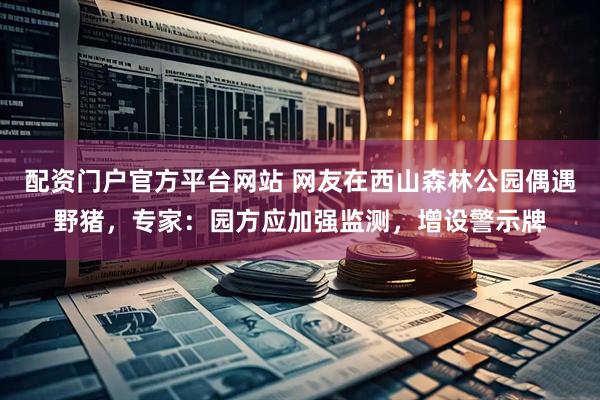 配资门户官方平台网站 网友在西山森林公园偶遇野猪，专家：园方应加强监测，增设警示牌