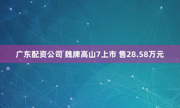 广东配资公司 魏牌高山7上市 售28.58万元